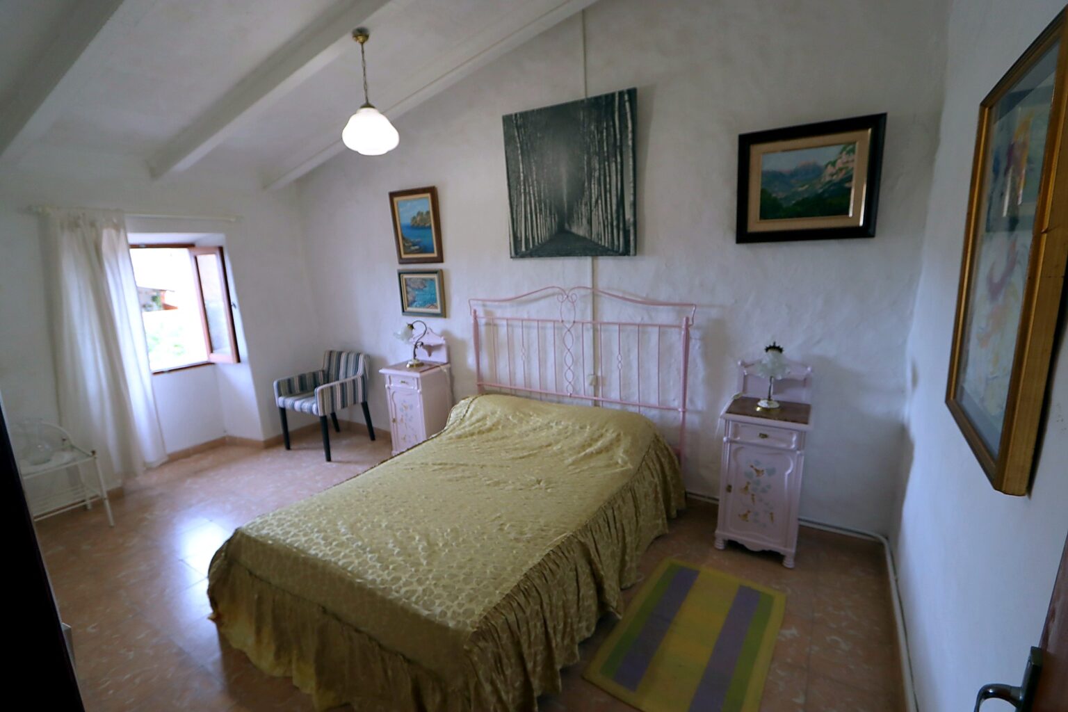 IMG_6455_premium_full