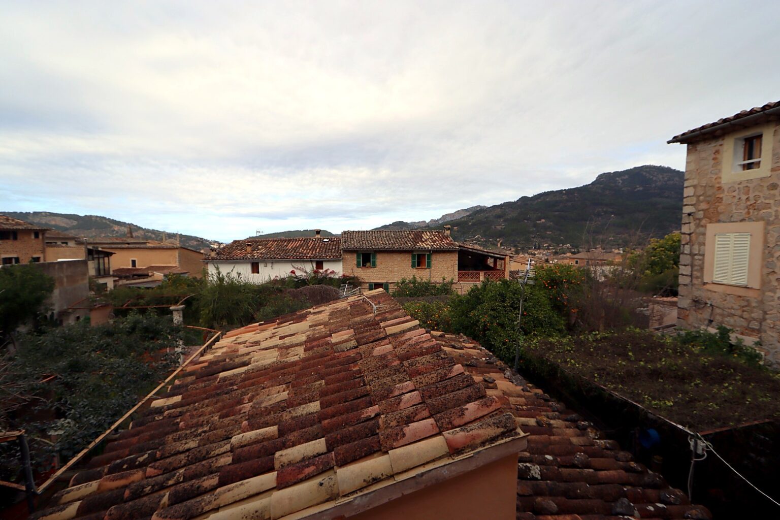 IMG_6459_premium_full