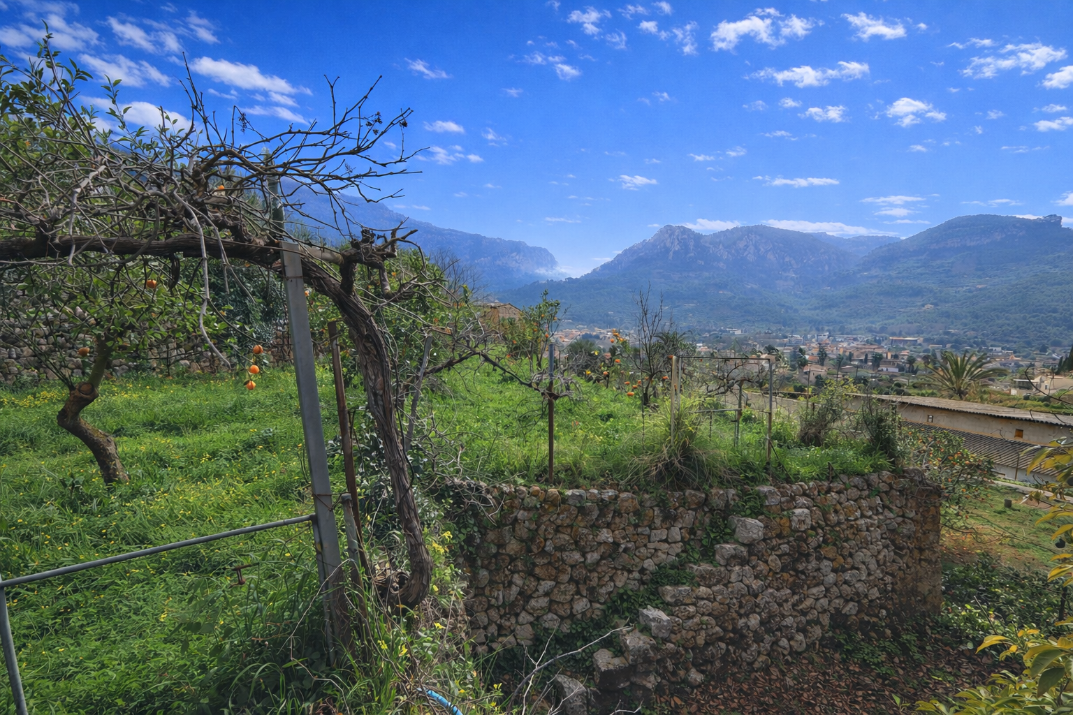 Viñedo y paisaje montañés en calma