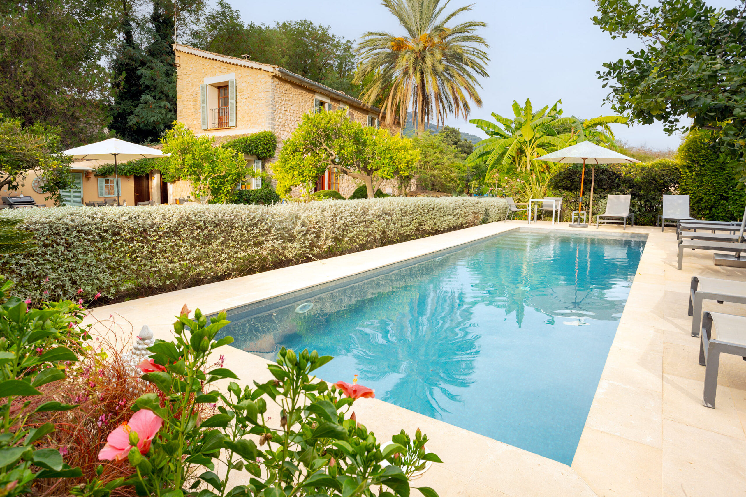 Soller-Owen_05